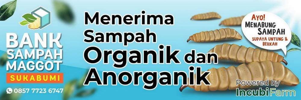 Tentang Bank Sampah Maggot
